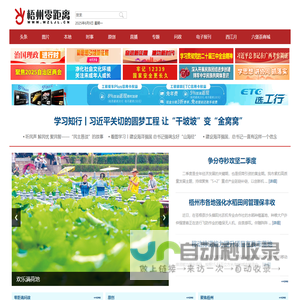 梧州权威的综合性新闻门户网站